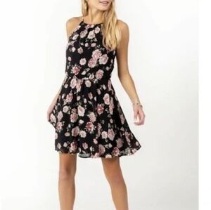 Francesca's Collections Black and Pink Floral Mini Dress